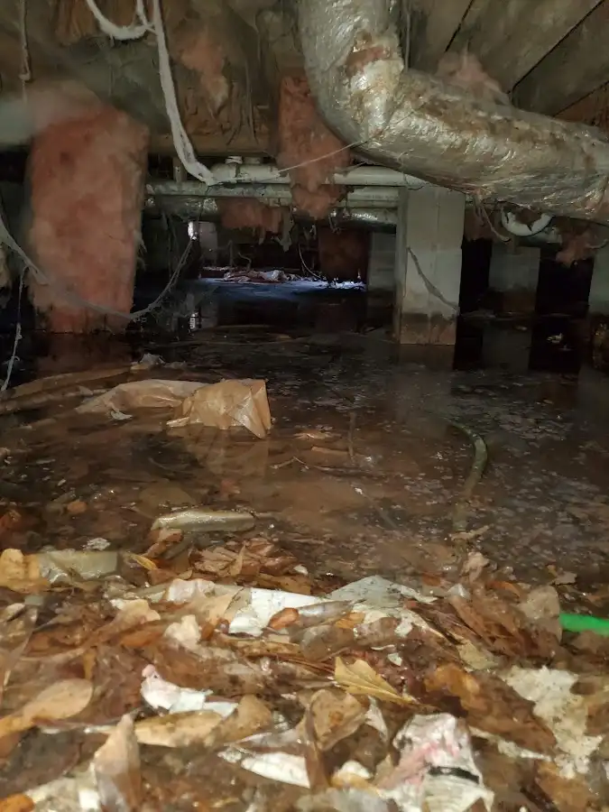 Crawl space flood assessment for Leak Detection & Repair in Plain City