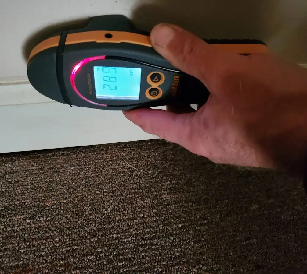 Moisture detection at baseboard during Sewage Cleanup & Sanitation in Plain City